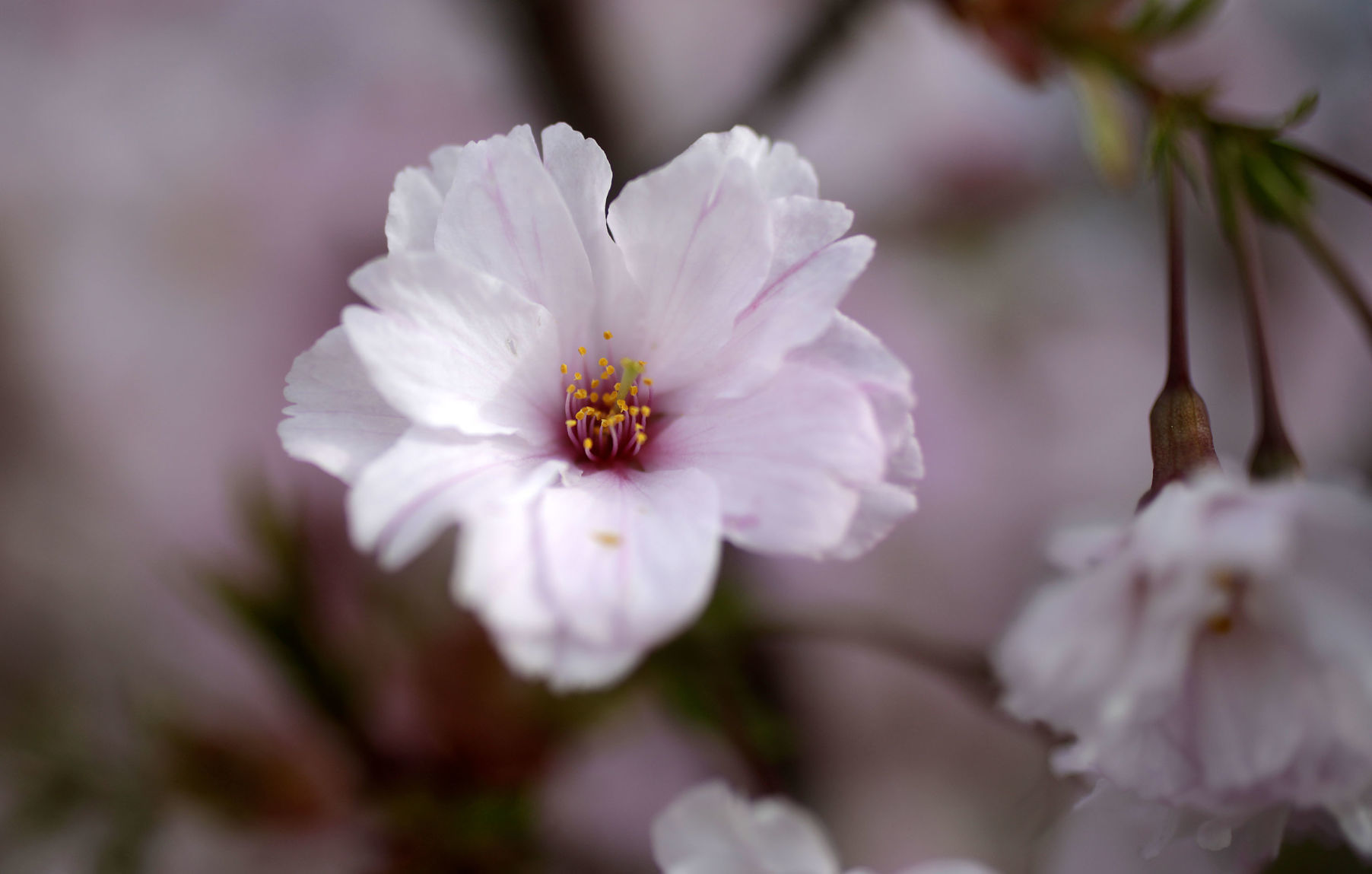 Tulsa Botanic Garden